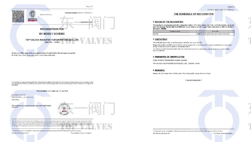 BV工廠型式認可證書